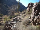 photo thumbnail #3