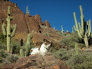 photo thumbnail #5