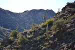 photo thumbnail #8