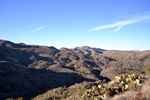 photo thumbnail #1