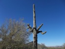 photo thumbnail #11