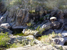 photo thumbnail #14