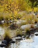 photo thumbnail #14