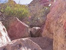 photo thumbnail #12
