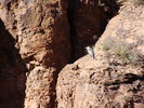 photo thumbnail #12