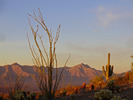 photo thumbnail #5