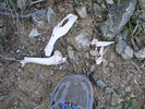 photo thumbnail #7