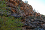 photo thumbnail #4