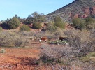 photo thumbnail #2