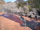 photo thumbnail #10