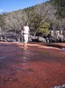 photo thumbnail #11