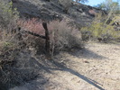photo thumbnail #3