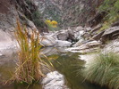 photo thumbnail #12