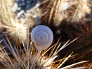 photo thumbnail #13