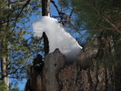 photo thumbnail #11