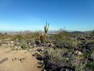photo thumbnail #11
