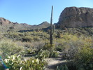 photo thumbnail #6