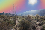 photo thumbnail #9