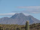 photo thumbnail #1