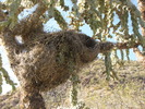 photo thumbnail #7