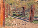 photo thumbnail #1