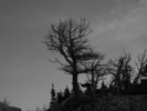 photo thumbnail #14
