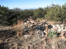 photo thumbnail #9