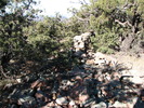 photo thumbnail #10