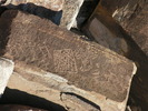 photo thumbnail #7
