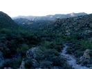 photo thumbnail #3