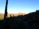 photo thumbnail #9