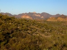photo thumbnail #11