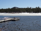 photo thumbnail #6