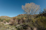 photo thumbnail #3