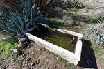 photo thumbnail #8