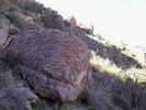 photo thumbnail #1