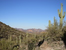 photo thumbnail #8