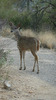 photo thumbnail #9