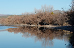 photo thumbnail #12