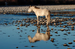 photo thumbnail #15