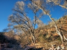 photo thumbnail #9