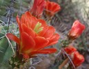 photo thumbnail #14