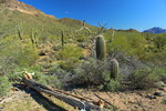 photo thumbnail #1