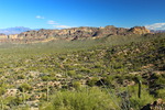 photo thumbnail #3