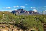 photo thumbnail #5