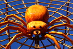 photo thumbnail #5