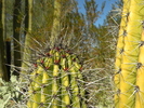 photo thumbnail #10