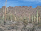 photo thumbnail #10