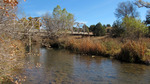 photo thumbnail #1