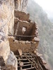 photo thumbnail #15